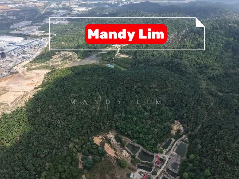 Tanah Pertanian untuk Dijual di Kulim (Kedah) - Mandy Lim - PropertyGuru.com.my