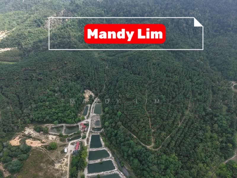 Tanah Pertanian untuk Dijual di Kulim (Kedah) - Mandy Lim - PropertyGuru.com.my