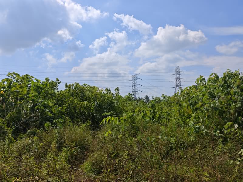 Industrial Land for Sale in Pekan Nenas (Jeram Batu) - TK Ding - Exterior - PropertyGuru.com.my