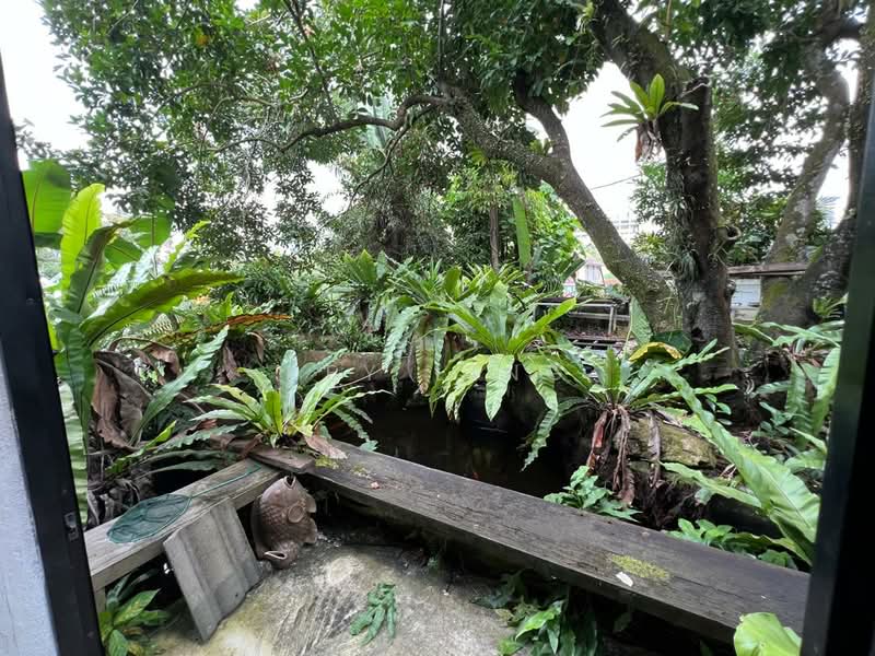 Bungalow House untuk Dijual di Seksyen 11 (Petaling Jaya) - Key Ling - PropertyGuru.com.my