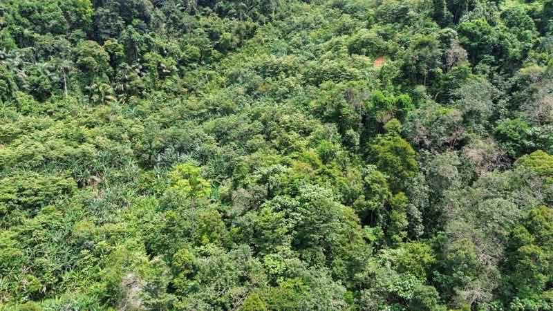 Agricultural Land for Sale in Seremban (Negeri Sembilan) - Jik Wafa - Exterior - PropertyGuru.com.my