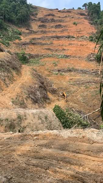 Agricultural Land for Sale in Seremban (Negeri Sembilan) - Jik Wafa - Exterior - PropertyGuru.com.my