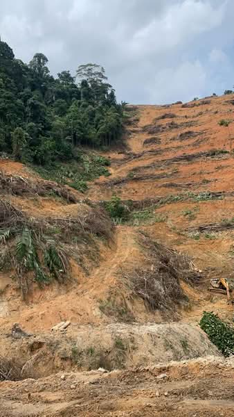 Agricultural Land for Sale in Seremban (Negeri Sembilan) - Jik Wafa - Exterior - PropertyGuru.com.my