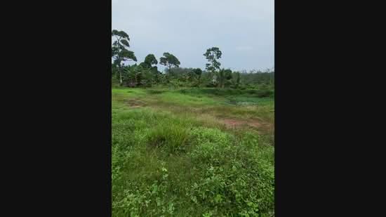 Agricultural Land for Sale in Kampung Sungai Petai (Sungei Petai) - Nadzmi Azilan - PropertyGuru.com.my