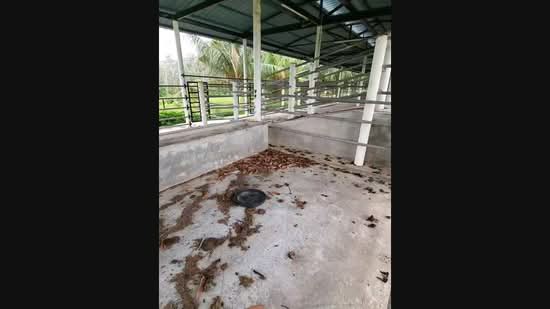 Agricultural Land for Sale in Kampung Sungai Petai (Sungei Petai) - Nadzmi Azilan - PropertyGuru.com.my