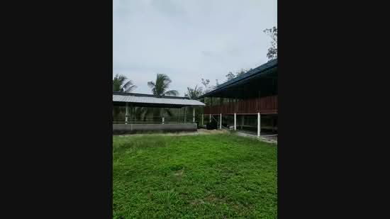 Agricultural Land for Sale in Kampung Sungai Petai (Sungei Petai) - Nadzmi Azilan - PropertyGuru.com.my
