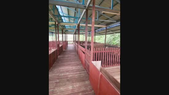 Agricultural Land for Sale in Kampung Sungai Petai (Sungei Petai) - Nadzmi Azilan - PropertyGuru.com.my