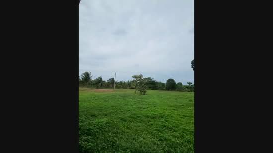 Agricultural Land for Sale in Kampung Sungai Petai (Sungei Petai) - Nadzmi Azilan - PropertyGuru.com.my