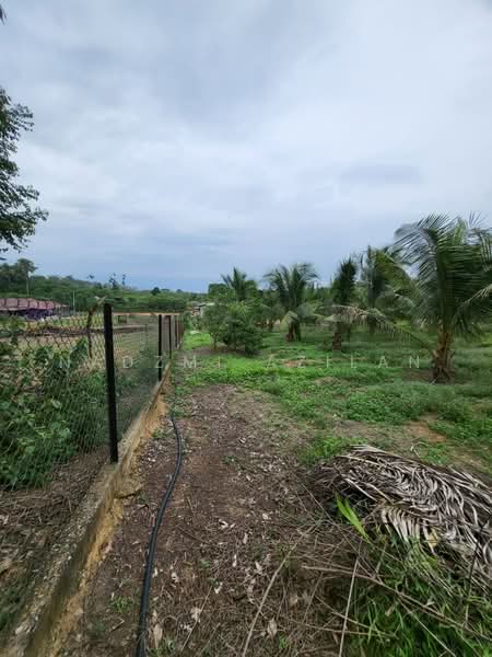 Agricultural Land for Sale in Kampung Sungai Petai (Sungei Petai) - Nadzmi Azilan - Garden - PropertyGuru.com.my