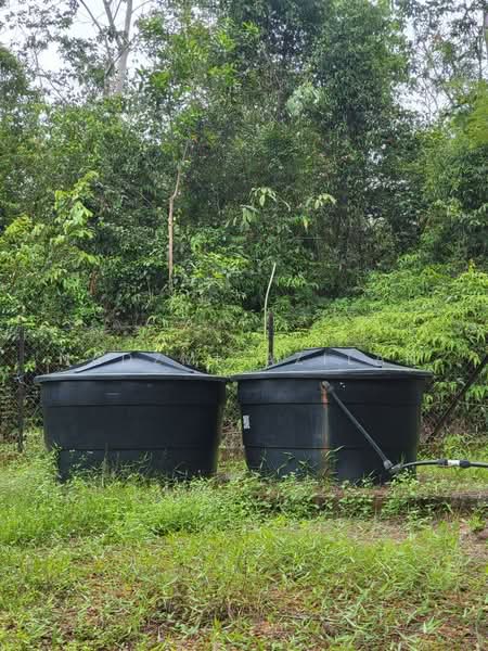Agricultural Land for Sale in Kampung Sungai Petai (Sungei Petai) - Nadzmi Azilan - Exterior - PropertyGuru.com.my