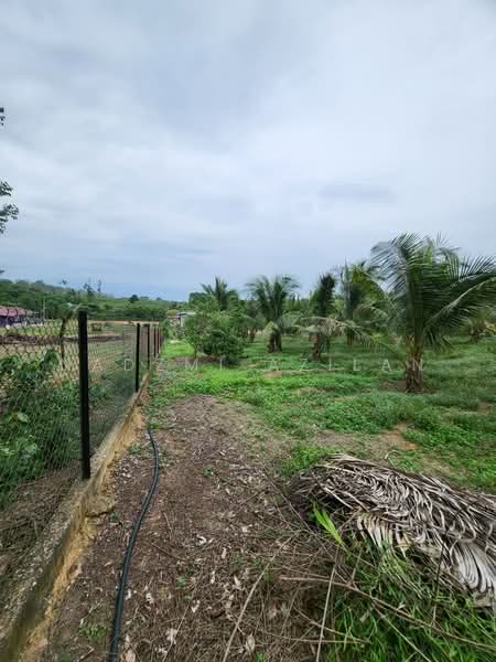 Agricultural Land for Sale in Kampung Sungai Petai (Sungei Petai) - Nadzmi Azilan - PropertyGuru.com.my