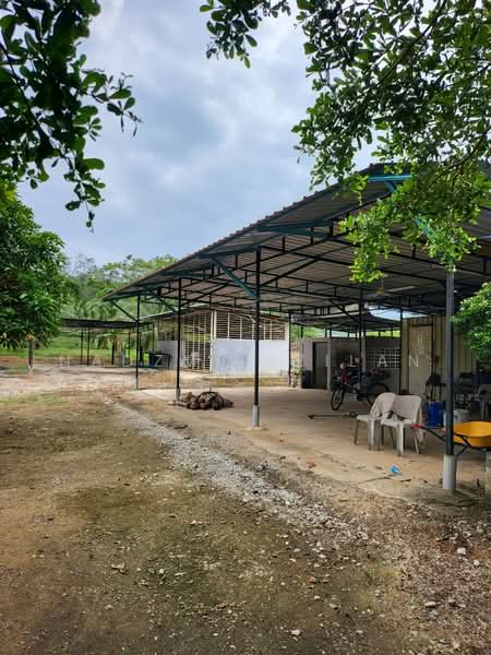 Agricultural Land for Sale in Kampung Sungai Petai (Sungei Petai) - Nadzmi Azilan - Exterior - PropertyGuru.com.my