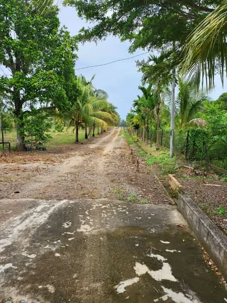 Agricultural Land for Sale in Kampung Sungai Petai (Sungei Petai) - Nadzmi Azilan - Exterior - PropertyGuru.com.my