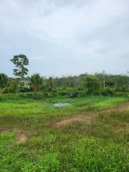 Agricultural Land for Sale in Kampung Sungai Petai (Sungei Petai) - Nadzmi Azilan - Exterior - PropertyGuru.com.my