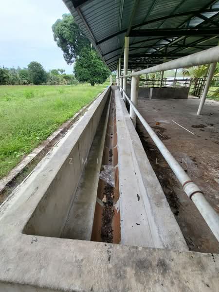 Agricultural Land for Sale in Kampung Sungai Petai (Sungei Petai) - Nadzmi Azilan - Exterior - PropertyGuru.com.my