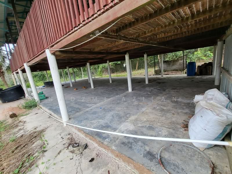 Agricultural Land for Sale in Kampung Sungai Petai (Sungei Petai) - Nadzmi Azilan - Exterior - PropertyGuru.com.my