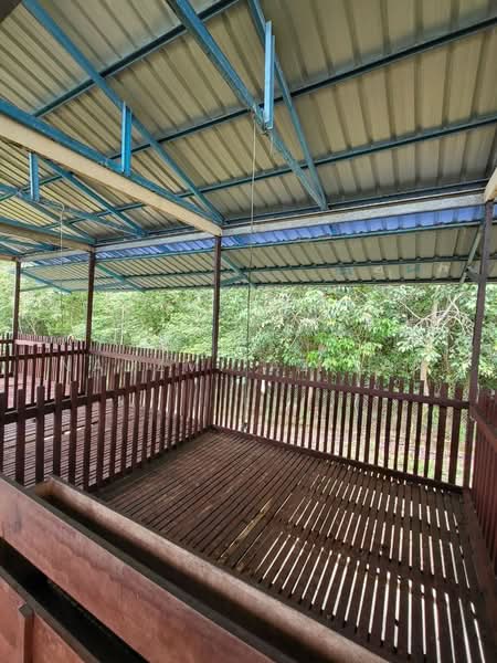 Agricultural Land for Sale in Kampung Sungai Petai (Sungei Petai) - Nadzmi Azilan - PropertyGuru.com.my