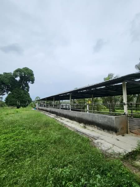 Agricultural Land for Sale in Kampung Sungai Petai (Sungei Petai) - Nadzmi Azilan - PropertyGuru.com.my