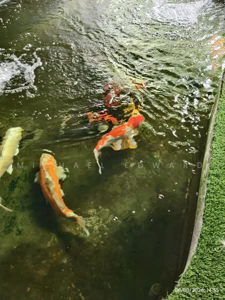 Rumah Teres 2-Tingkat untuk Dijual di Sunway Kayangan (Shah Alam) - Michael Edward - Garden - PropertyGuru.com.my
