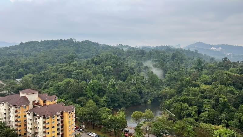 Service Residence for Rent at Serviced Residence @ Sunway D'hill Residences - Max Ng - PropertyGuru.com.my