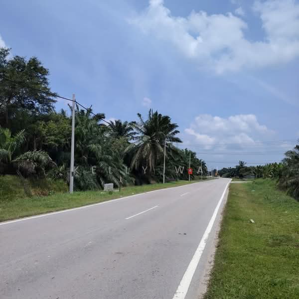 Tanah Pertanian untuk Dijual di Pekan Nanas (Johor) - Kelly Wai - Exterior - PropertyGuru.com.my