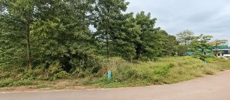 Commercial Land for Sale in Alor Gajah (Melaka) - angel lim - Exterior - PropertyGuru.com.my