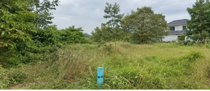 Commercial Land for Sale in Alor Gajah (Melaka) - angel lim - Exterior - PropertyGuru.com.my