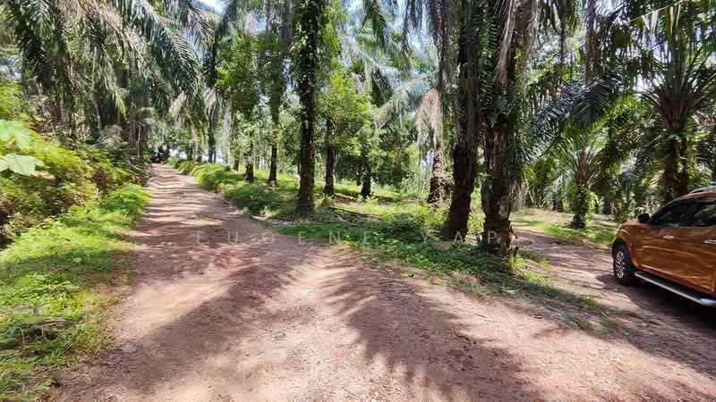 Agricultural Land for Sale in Simpah Utara (Batu Arang) - Eugene Yap - Exterior - PropertyGuru.com.my