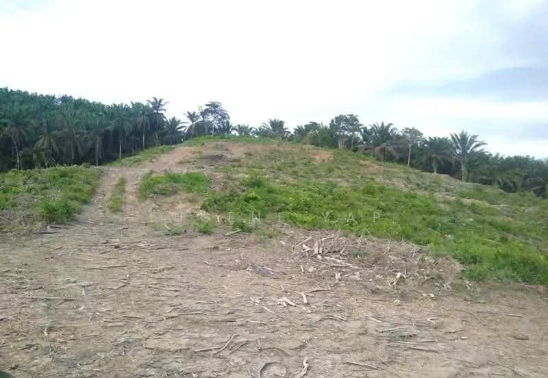 Agricultural Land for Sale in Simpah Utara (Batu Arang) - Eugene Yap - Exterior - PropertyGuru.com.my