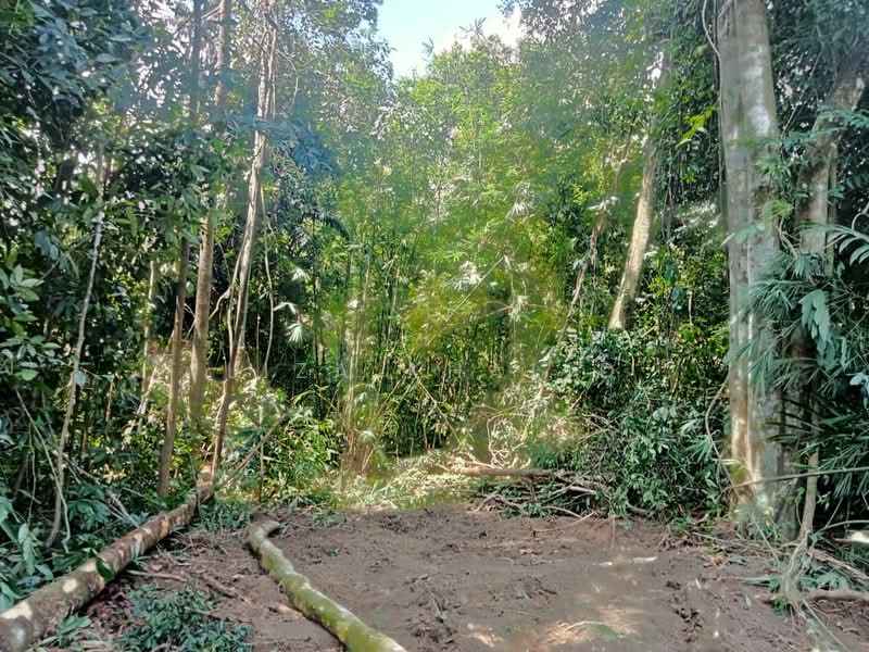 Agricultural Land for Sale in Rasa (Selangor) - Liza Khalid - PropertyGuru.com.my