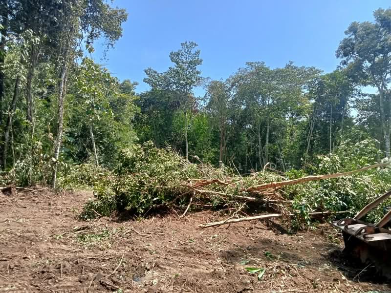 Agricultural Land for Sale in Rasa (Selangor) - Liza Khalid - PropertyGuru.com.my