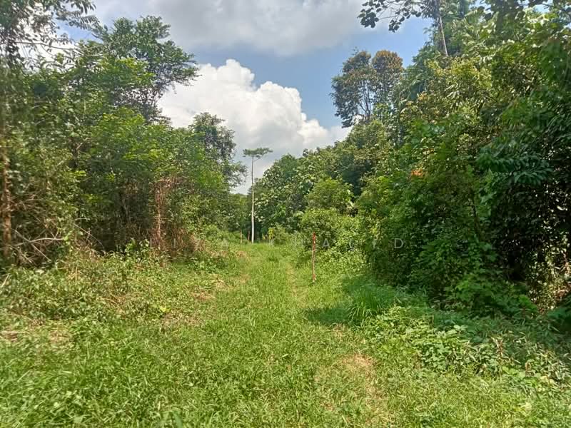 Agricultural Land for Sale in Rasa (Selangor) - Liza Khalid - PropertyGuru.com.my