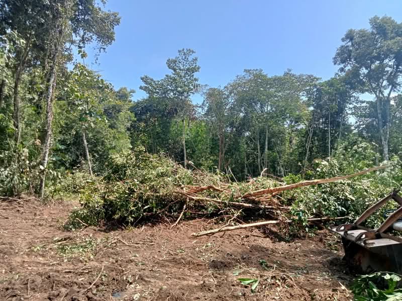 Agricultural Land for Sale in Rasa (Selangor) - Liza Khalid - PropertyGuru.com.my