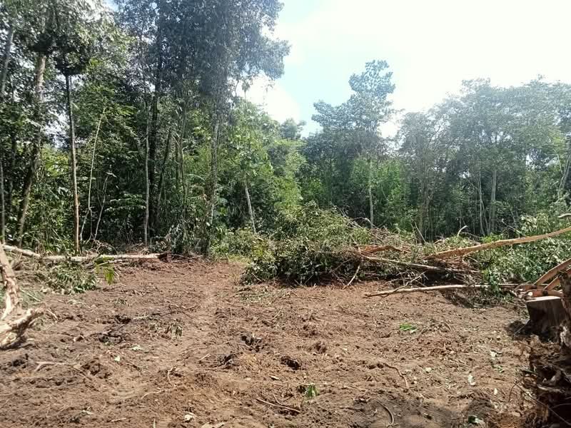 Agricultural Land for Sale in Rasa (Selangor) - Liza Khalid - PropertyGuru.com.my