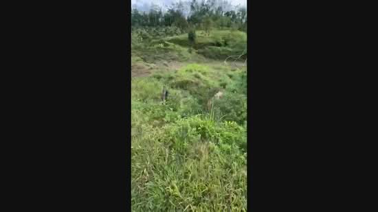 Agricultural Land for Sale in Batang Kali (Selangor) - NUZULHAKIMI . - PropertyGuru.com.my