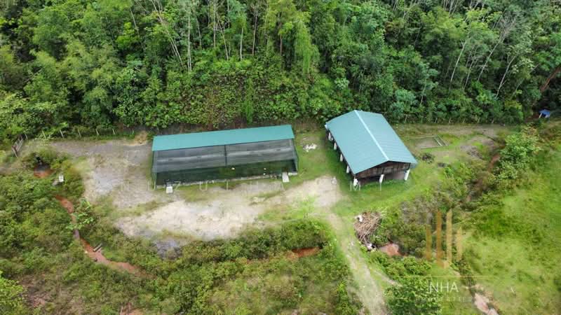 Agricultural Land for Sale in Batang Kali (Selangor) - NUZULHAKIMI . - Exterior - PropertyGuru.com.my