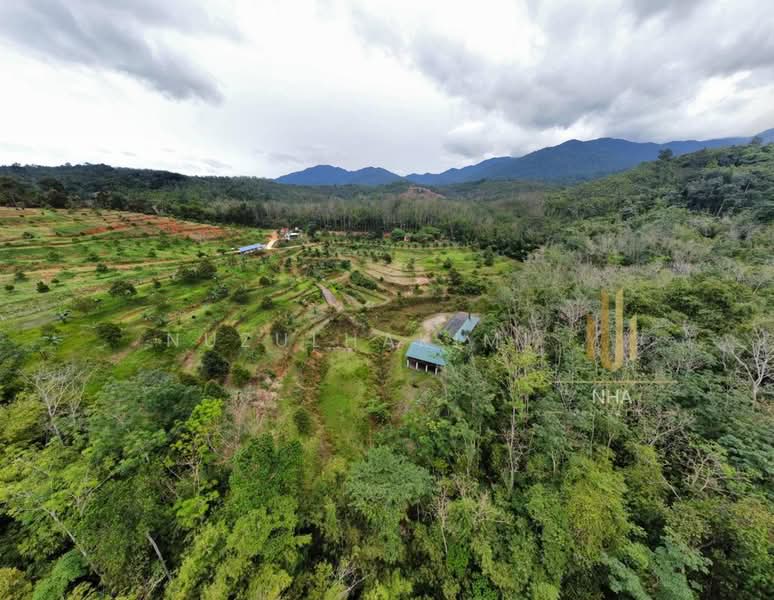 Agricultural Land for Sale in Batang Kali (Selangor) - NUZULHAKIMI . - Exterior - PropertyGuru.com.my