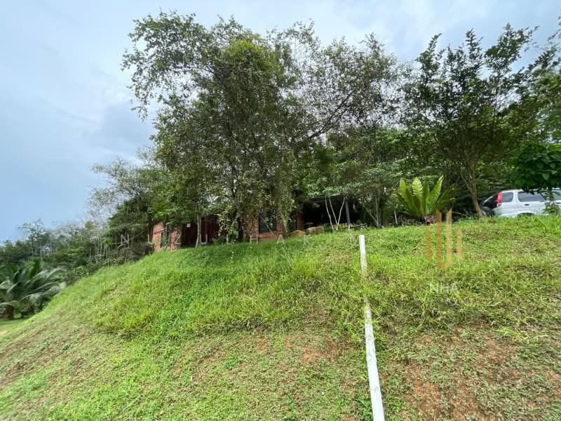 Agricultural Land for Sale in Batang Kali (Selangor) - NUZULHAKIMI . - Exterior - PropertyGuru.com.my