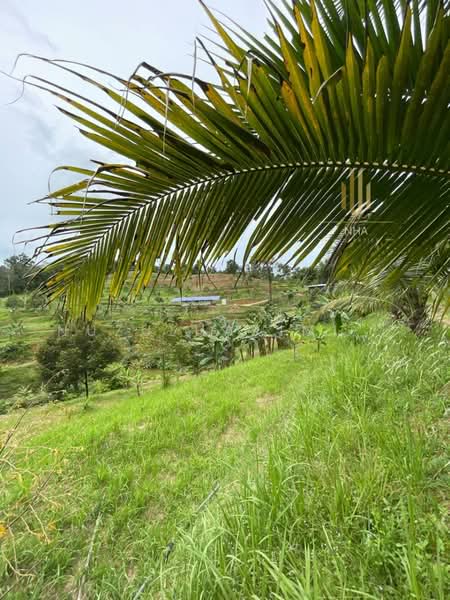 Agricultural Land for Sale in Batang Kali (Selangor) - NUZULHAKIMI . - Exterior - PropertyGuru.com.my
