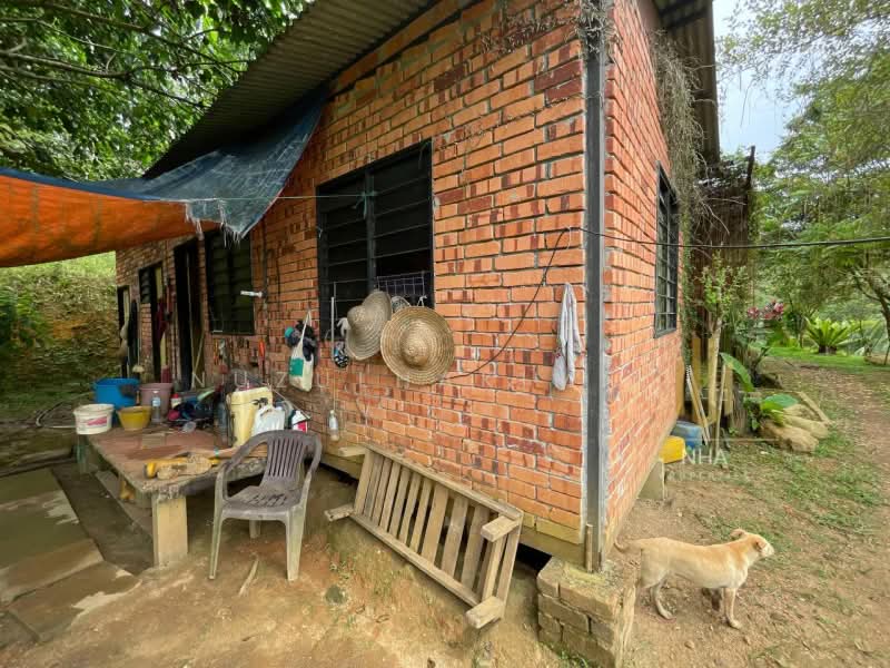Agricultural Land for Sale in Batang Kali (Selangor) - NUZULHAKIMI . - Exterior - PropertyGuru.com.my