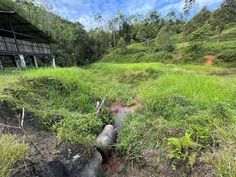 Agricultural Land for Sale in Batang Kali (Selangor) - NUZULHAKIMI . - Exterior - PropertyGuru.com.my