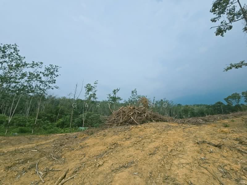Agricultural Land for Sale in Taman Jerlun (Kuala Kangsar) - Gary Tang - Exterior - PropertyGuru.com.my