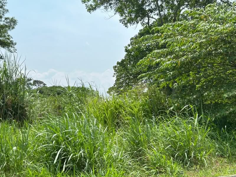 Tanah Pertanian untuk Disewa di Kulim (Kedah) - BK Loi - Exterior - PropertyGuru.com.my
