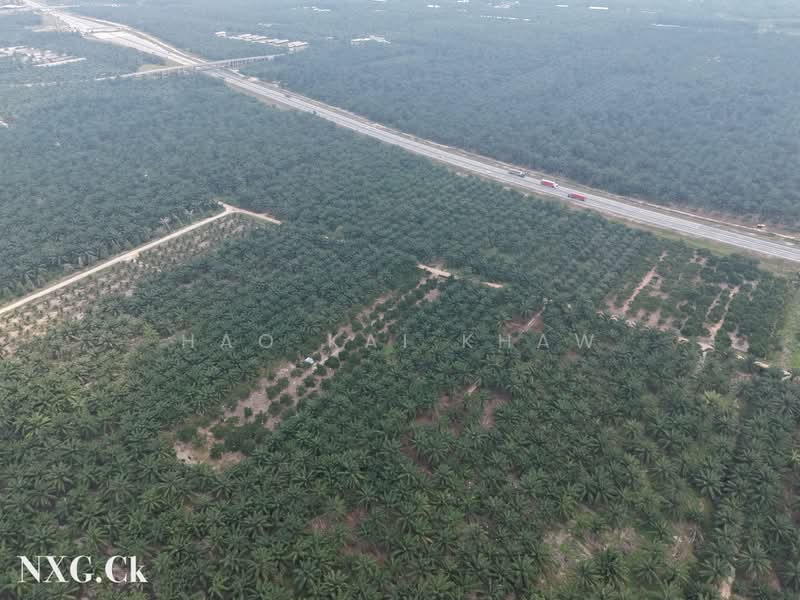 Agricultural Land for Sale in Kampung Sri Cheeding (Jenjarom) - Hao Kai Khaw - PropertyGuru.com.my