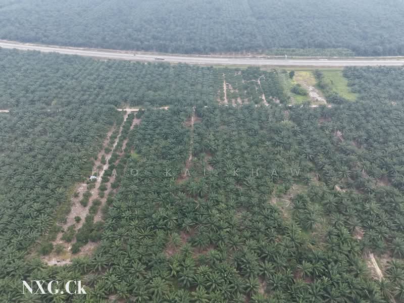 Agricultural Land for Sale in Kampung Sri Cheeding (Jenjarom) - Hao Kai Khaw - PropertyGuru.com.my