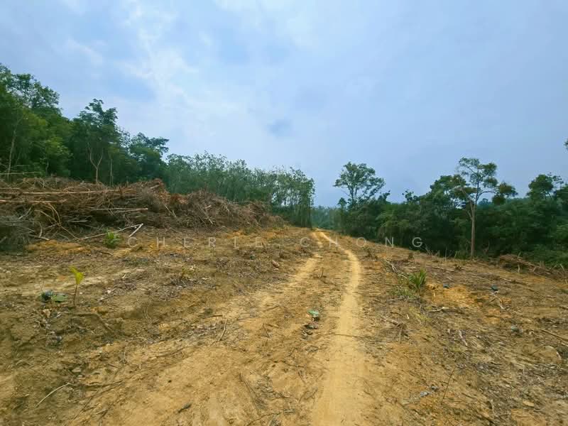 Agricultural Land for Sale in Kampung Jerlun (Kuala Kangsar) - Cherie Chong - PropertyGuru.com.my