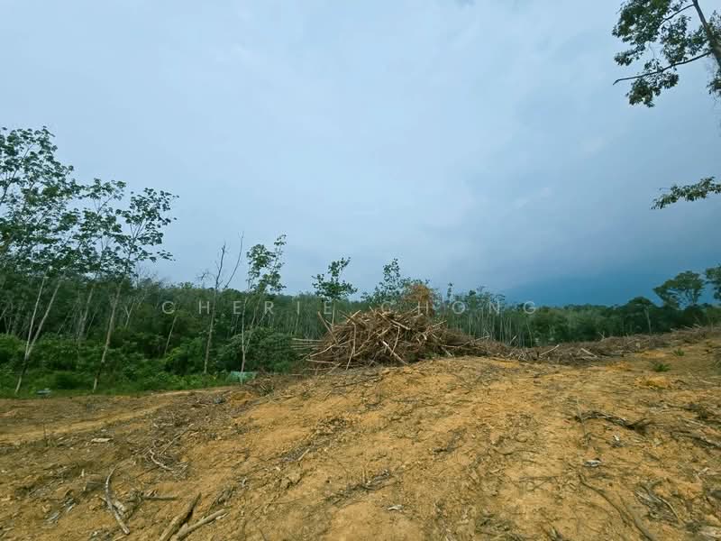 Agricultural Land for Sale in Kampung Jerlun (Kuala Kangsar) - Cherie Chong - PropertyGuru.com.my
