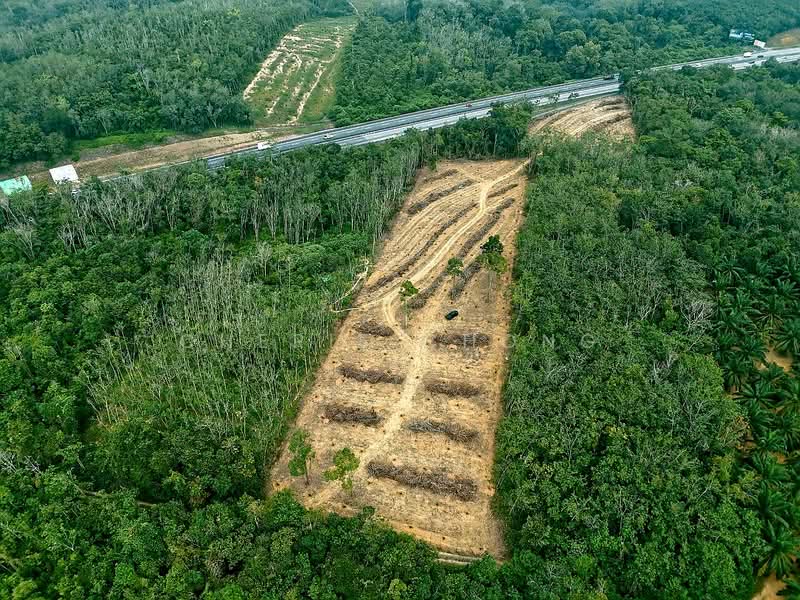 Agricultural Land for Sale in Kampung Jerlun (Kuala Kangsar) - Cherie Chong - PropertyGuru.com.my
