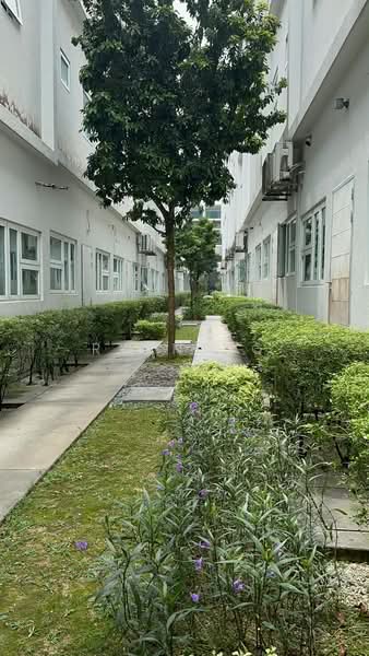 Rumah Berkembar untuk Disewa di Tanjung Bungah (Penang) - Ryan Ng - Exterior - PropertyGuru.com.my