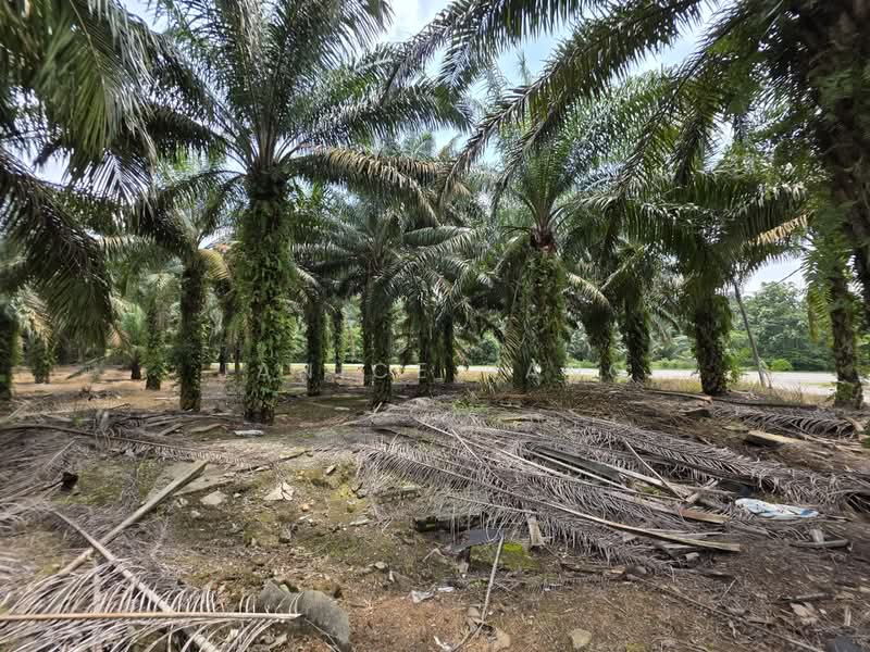 Tanah Perindustrian untuk Dijual di Kluang (Johor) - Janice Pang - Exterior - PropertyGuru.com.my